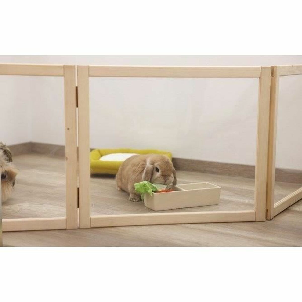 Divisori Kerbl Plexiglás Plastica